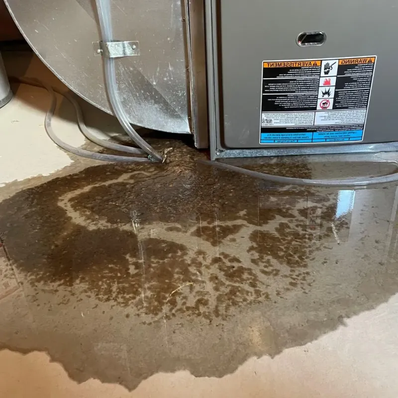 Pipe Burst and Leak Restoration in Lake Purdy, AL