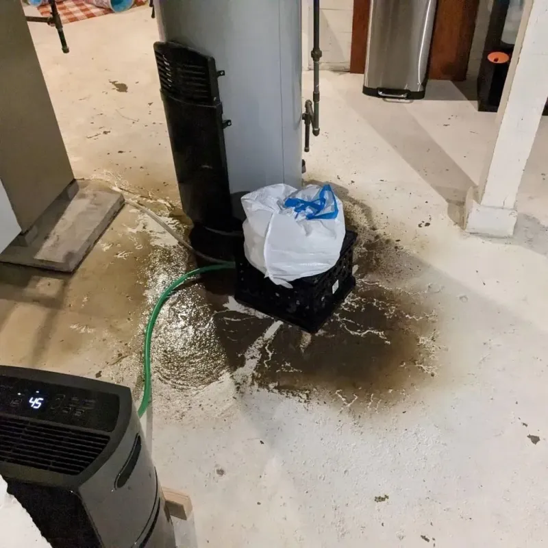 Sewage Backup Cleanup Service in Lake Purdy, AL